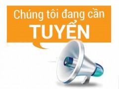 TUYỂN TRƯỞNG PHÒNG DỰ ÁN