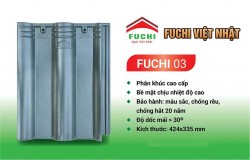 ngói fuchi 03