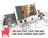 Phong thủy nhà ở cho những người có năm sinh 1991 ( Tuổi Tân Mùi)
