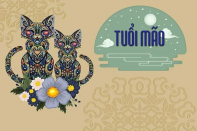 Phong thủy nhà ở cho người tuổi Đinh Mão sinh năm 1987
