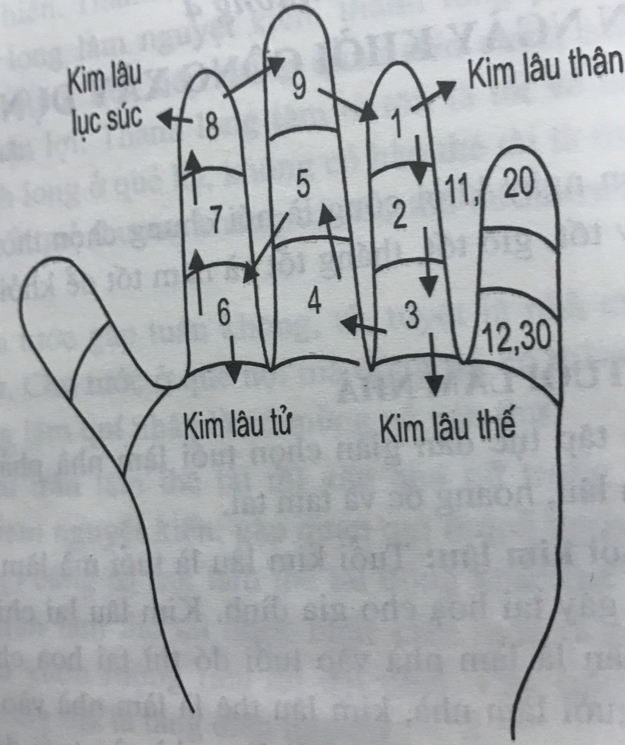 tuoi xay nha nam 2022 1