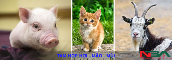 tam hop tu hanh xung 3