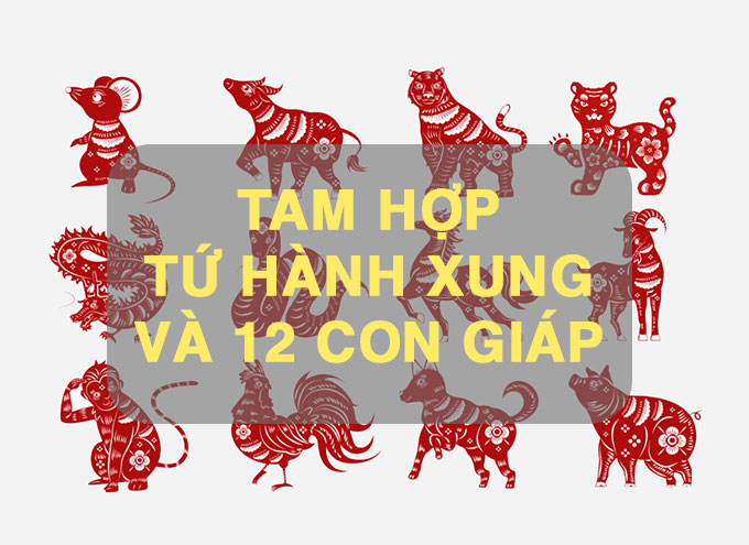 tam hop tu hanh xung 5