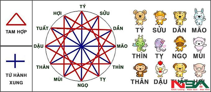 tam hop tu hanh xung 7