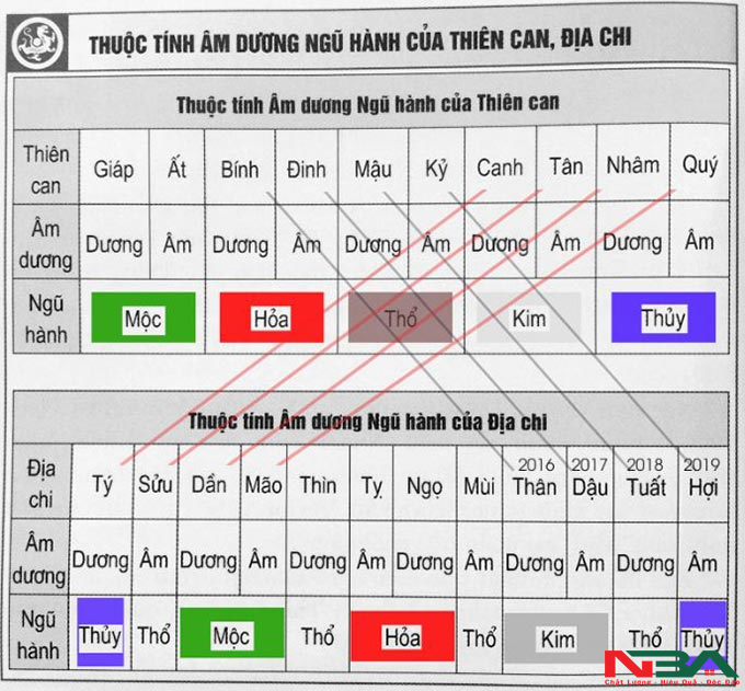 tam hop tu hanh xung 9