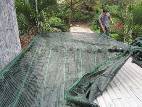 Phương pháp chống nóng cho mái tôn - Ảnh 9. photo 8 1646967906679576324967
